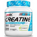 Amix Performance Creatine Monohydrate Creapure® 300g