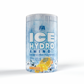 FA ICE Hydro Amino 480g